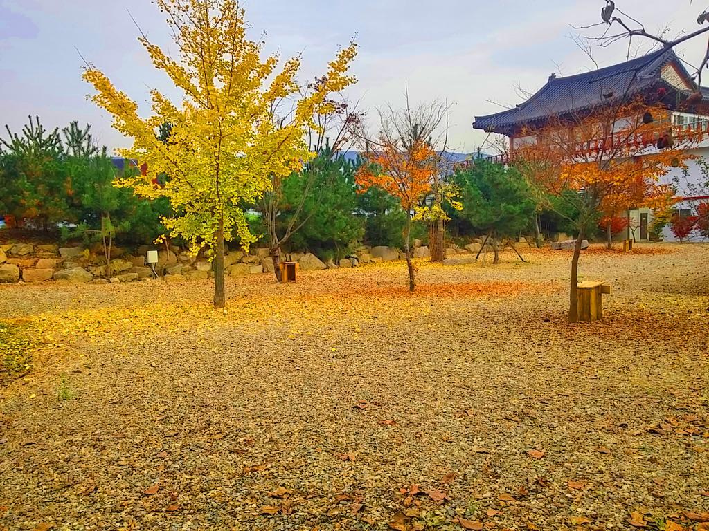 Chowoo Guesthouse 慶州市 エクステリア 写真