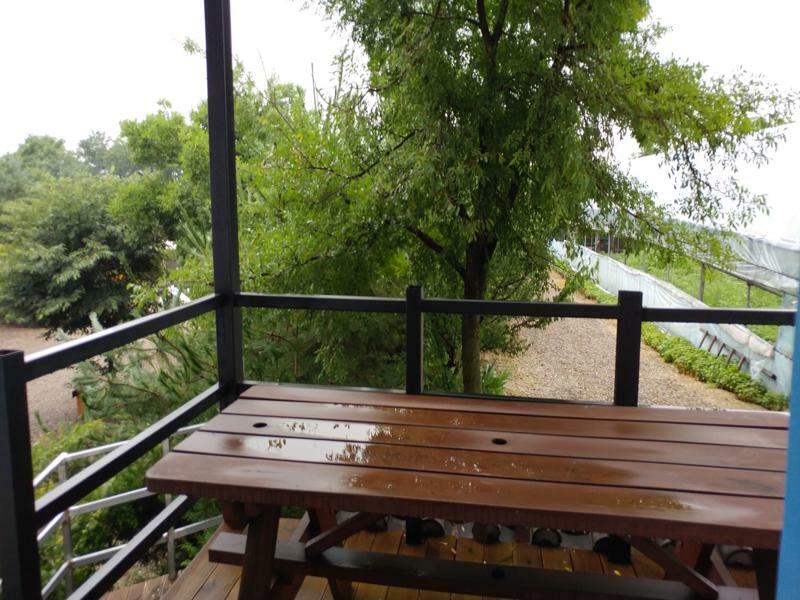 Chowoo Guesthouse 慶州市 エクステリア 写真